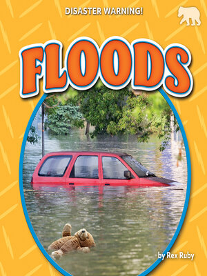 cover image of Floods